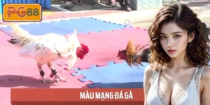 Màu Mạng Đá Gà - Giải Mã Ngũ Hành Để Luôn Bất Bại